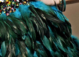 Feathers Feathers