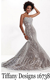 Tiffany Designs Prom Dress 16738