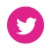 party dress express twitter