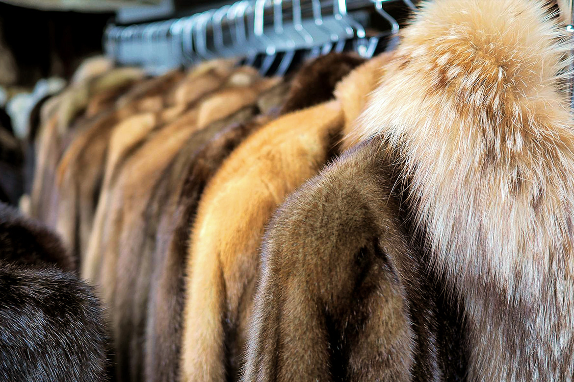 “Fur”/